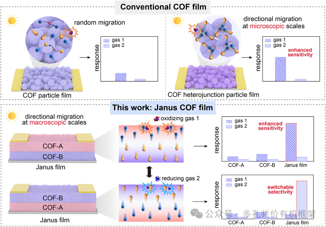 中国科学院福建物质结构研究所：Janus型COF薄膜构筑宏观定向载流子迁移实现可切换气体传感