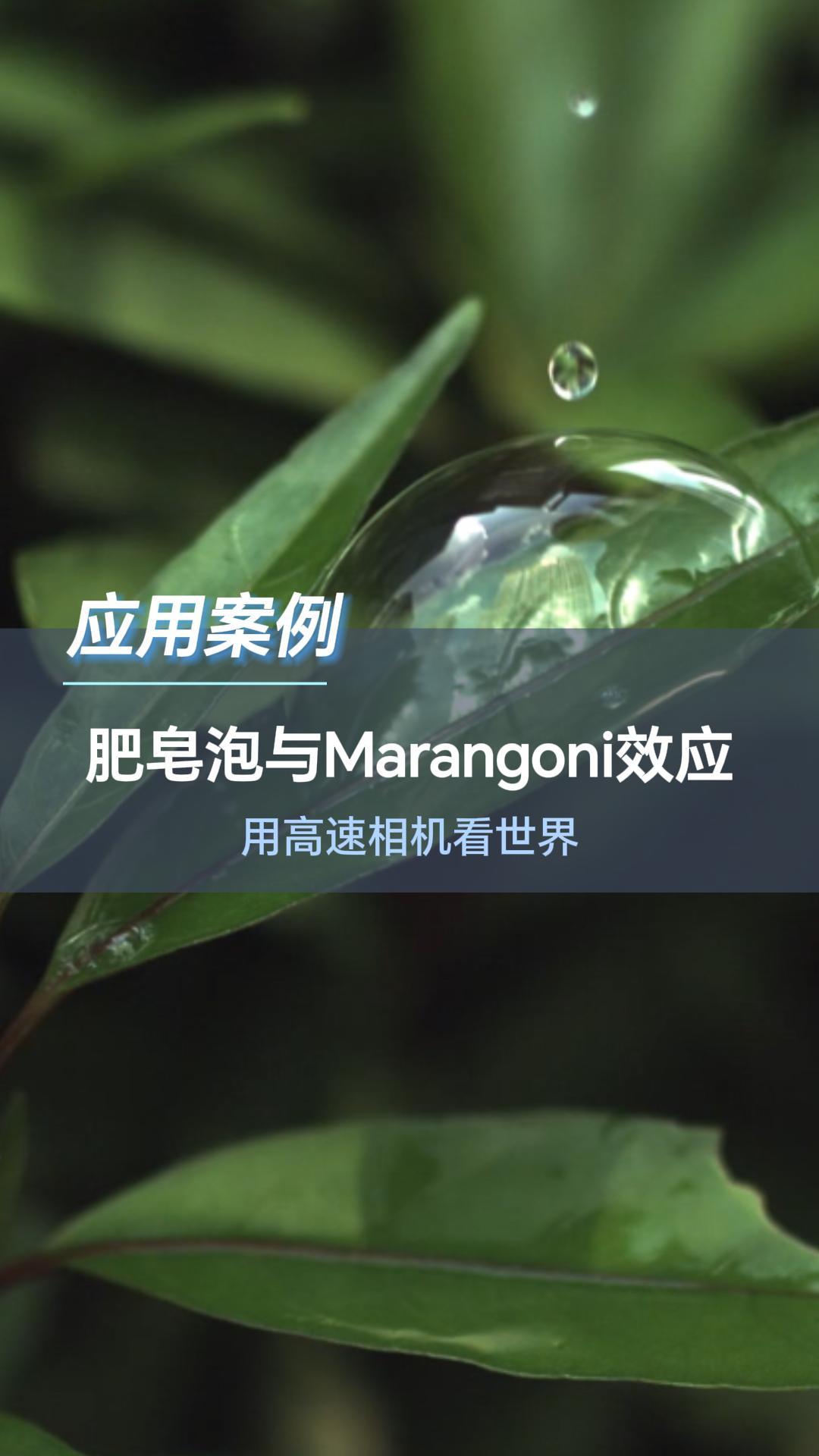 用高速相機看世界，揭秘肥皂泡與Marangoni效應#高速相機 #深視智能 