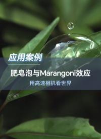 用高速相机看世界，揭秘肥皂泡与Marangoni效应#高速相机 #深视智能 