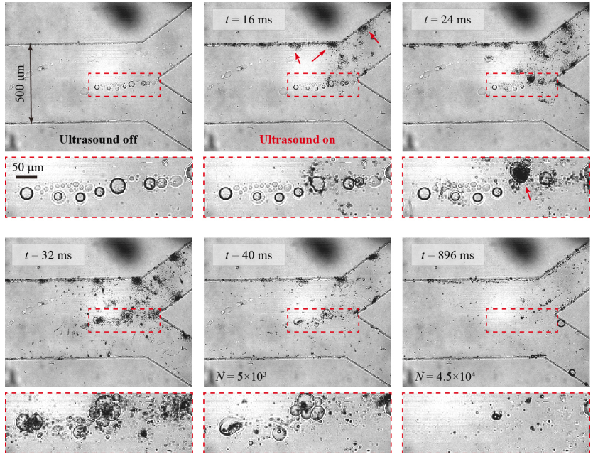 微流道內(nèi)超聲空化現(xiàn)象