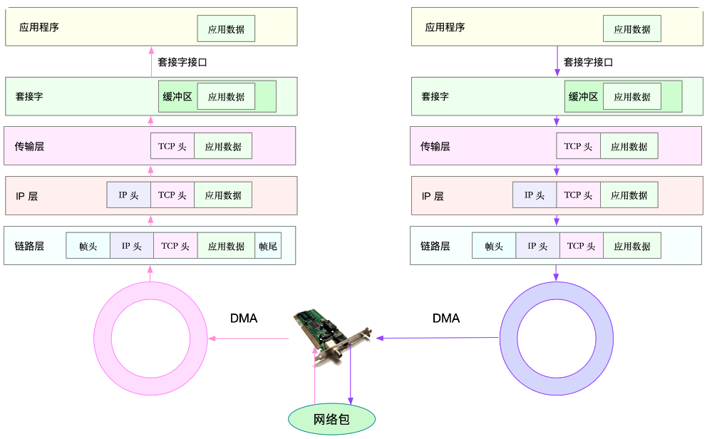 网络模型