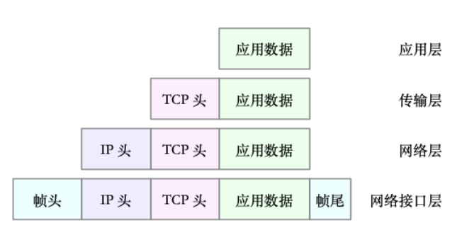 网络模型