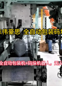 定制煤粉自動包裝碼垛機 全自動包裝碼垛生產線 山東偉豪思 #機械 #終端設備 
