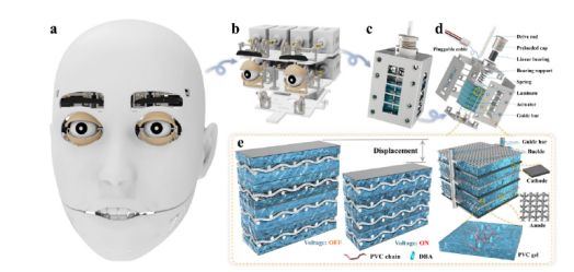 電致變形柔性致動(dòng)器表情機(jī)器人