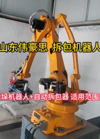 50KG硫磺拆包機器人 全自動破袋機流程 山東偉豪思 #機械 #自動化設備 #工業機器人 