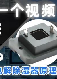 一個(gè)視頻讓你秒懂電解除濕器的原理和應(yīng)用#控濕方案 