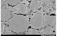 锂电池电极片微观结构：氩离子抛光SEM电镜测试效果展示
