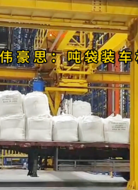 雙袋式堿粉噸袋自動裝車機，噸包料全自動裝車機器人廠家