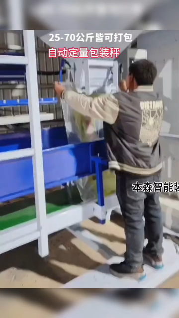 葵花籽自動(dòng)定量包裝秤# 