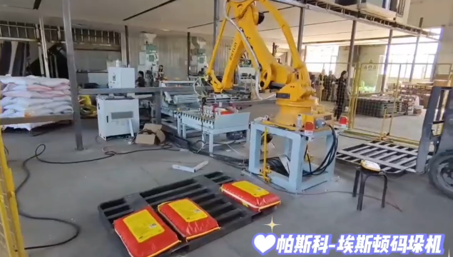 帕斯科-埃斯頓ER180-3100PL疊包機械手本體工廠現(xiàn)貨# 碼垛機