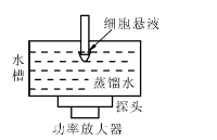 射頻功率放大器在超聲實現離體腫瘤<b class='flag-5'>細胞</b>研究的應用