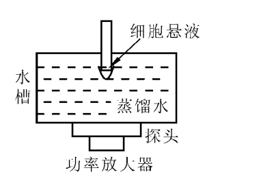 實驗裝置