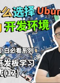 为什么选择Ubuntu作为开发环境？