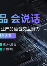 好產品會說話，讓你的產品有口皆碑。離在線識別，TTS語音播報方案搭建，十分鐘可以創建一個低成本簡單應用案例