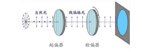 行業知識 | “看清”世界，探秘光的<b class='flag-5'>偏振</b>