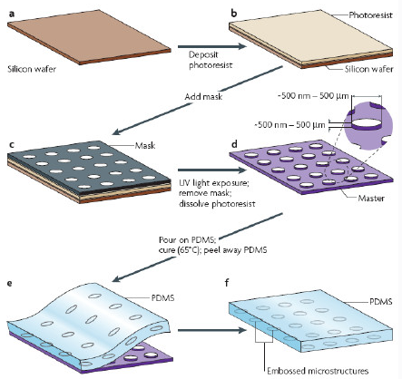 <b class='flag-5'>微</b><b class='flag-5'>流</b>控芯片加工中的<b class='flag-5'>PDMS</b>软刻蚀技术和聚合物成型介绍