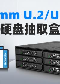 支持7毫米 U.2/U.3 NVMe 的6盤位熱插拔硬盤抽取盒 最高達(dá)64Gbps #熱插拔 #嵌入設(shè)備 