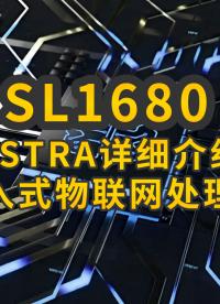 嵌入式物聯網處理器Astra? SL系列SL1680詳細介紹