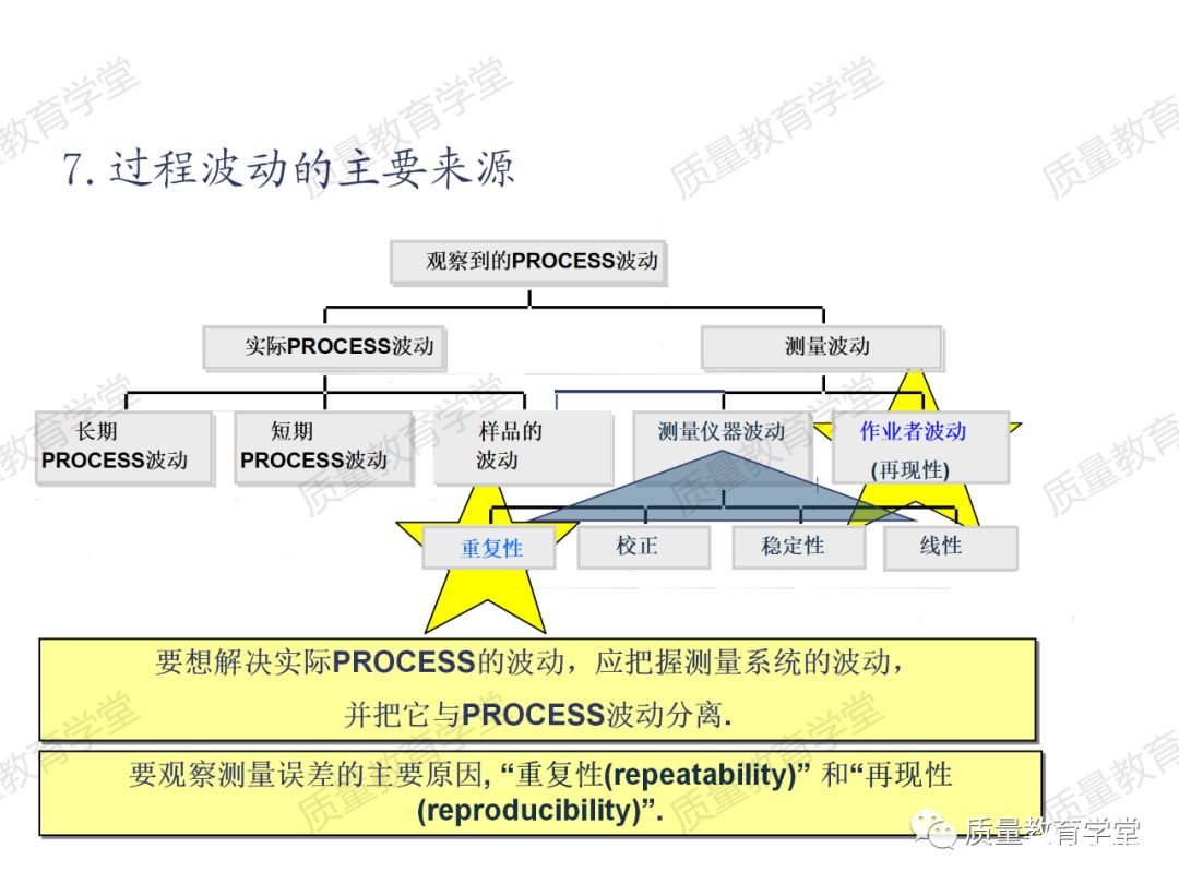 7f199c72-6b1a-11ef-8e70-92fbcf53809c.jpg