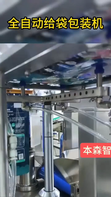 干果類全自動給袋式包裝機