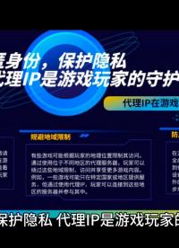 使用海外代理IP，守護自身隱私，享受順暢上網體驗！