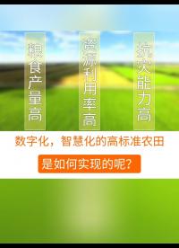 你以為的小田并大田就是高標準農(nóng)田嗎？來看看高標準農(nóng)田是如何建設的 #智慧農(nóng)業(yè) #高標準農(nóng)田建設 #物聯(lián)網(wǎng) 