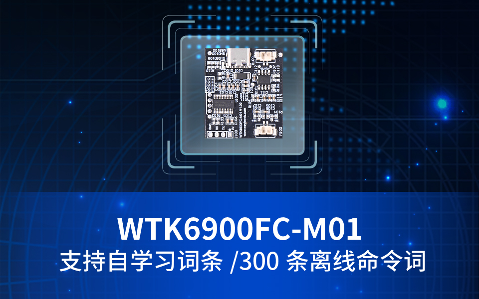 WTK6900FC语音识别模块