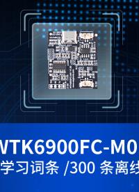 WTK6900FC語音識別模塊