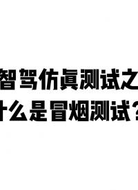  智駕仿真測試之什么是冒煙測試？#ADAS #自動駕駛 #冒煙測試 