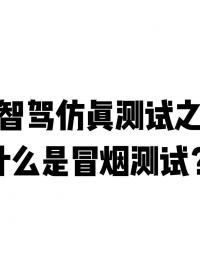  智駕仿真測試之什么是冒煙測試？#ADAS #自動駕駛 #冒煙測試 