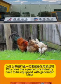 為什么養(yǎng)殖行業(yè)一定要配備柴油發(fā)電機(jī)組呢？# #人工智能 
