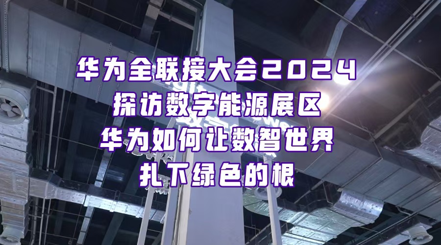 數(shù)字世界，如何扎下綠色的根？