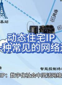 動態(tài)住宅IP已經(jīng)成為一種常見的網(wǎng)絡連接方式
