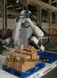 帕斯科吸盤拆垛機器人自動卸垛紙箱