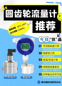 云儀  千分之五高精度【圓齒輪流量計(jì)】