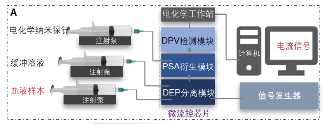 介電電泳細(xì)胞分選測(cè)試實(shí)驗(yàn)框圖