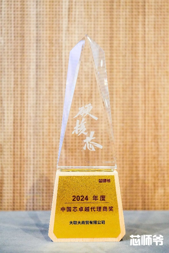 實(shí)力硬核！大聯(lián)大榮獲2024年度“<b class='flag-5'>中國(guó)芯</b>卓越代理商獎(jiǎng)”