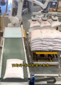 帕斯科自動拆垛機器人本體袋料批量卸貨