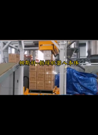 帕斯科紙箱拆垛機器人本體
