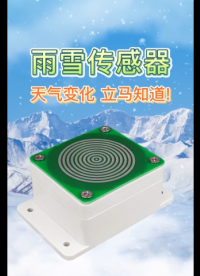 雨雪傳感器