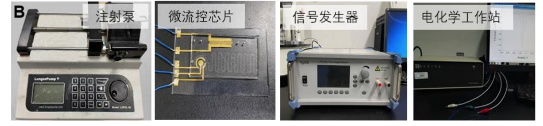 介電電泳細(xì)胞分選測(cè)試實(shí)驗(yàn)實(shí)拍圖