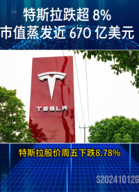 特斯拉跌超 8%，市值蒸发近 670 亿美元