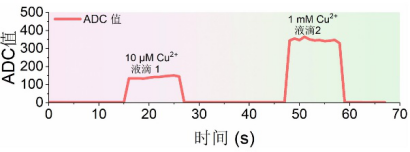 實驗檢測結果