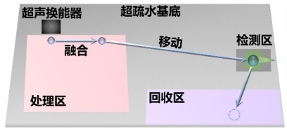 功率放大器在机器视觉下液滴操控与荧光分析检测中的应用 (https://ic.work/) 技术资料 第2张