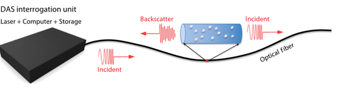 <b class='flag-5'>分布式</b>光纖聲波傳感技術(shù)的工作原理