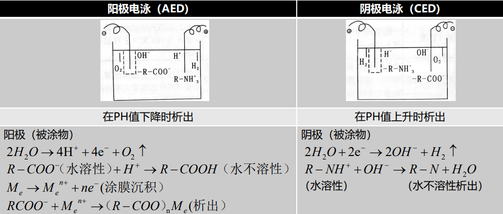 554ffe1c-90b4-11ef-a511-92fbcf53809c.png