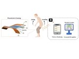 可穿戴壓電<b class='flag-5'>傳感器</b>在肌少癥篩查的應用