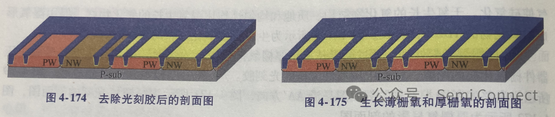 晶圆