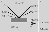 <b class='flag-5'>掃描電鏡</b>工作原理