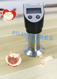 隆旅PTL530卫生数显压力开关变送器#压力开关
#压力变送器
#上海隆旅电子科技
 